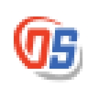 Dilijent Systems logo