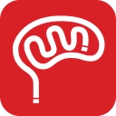 Brainsensei logo