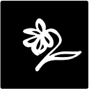 Rasa Hydroponics logo