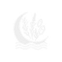Moon Water Apothecary logo