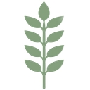 Thrive Here logo