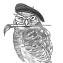 Wise Owl Paint logo