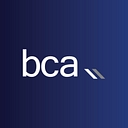 BaseCap Analytics logo