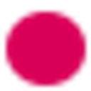 Climate Disclosure Standards Board logo