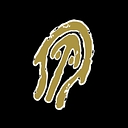 Native Watercraft logo
