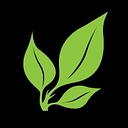 ParaSpace logo