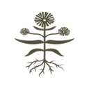 Laurenliess logo