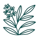 Sage Therapy logo