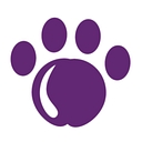 The Savvy Sitter logo