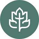 CCEF logo