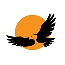 First Nations Development Institute logo