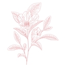 Amberworks Floral Design logo