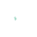 PeakScents logo