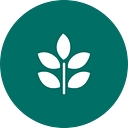 Emerald Cleaning logo