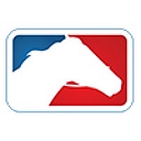 US Racing logo