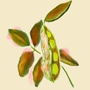 Ecofriendly Homestead logo