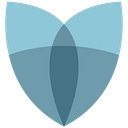 LifeShield National Insurance Company logo