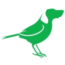 BirdDog logo
