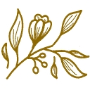 The Home I Create logo