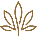 Kiva Confections logo