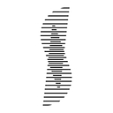 Sterling Cleaning NYC logo