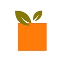 Big Orange Marketing logo