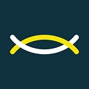 Savvy Security logo