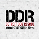 Detroit Dog Rescue logo