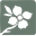 Carolina Memorial Sanctuary logo