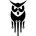 Cybrwise logo
