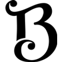 Bruce Guitars logo