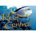 Reef Central logo