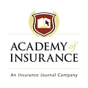 IJ Academy logo