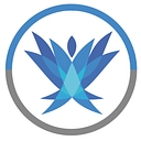 Infosec Academy logo