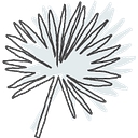 Island Home Interiors logo
