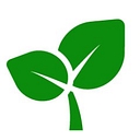 Organical SEO logo