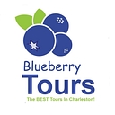 Take Blueberry Tours logo