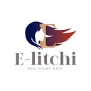 E-Litchi logo