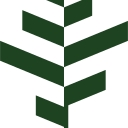 BGO logo