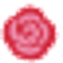 Rose & Blossom logo