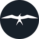 Invincible logo
