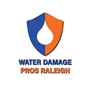 Water Damage Pros logo