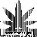 SeedFinder logo