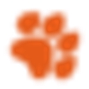 K9 Electronics logo