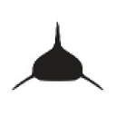 Neptunic logo