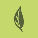 Willow Behavioral Health logo