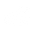 Innate logo