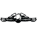 Above Air Inc. logo