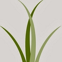 Wiregrass Georgia Technical College logo