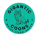 Gigantic Maine Coons logo